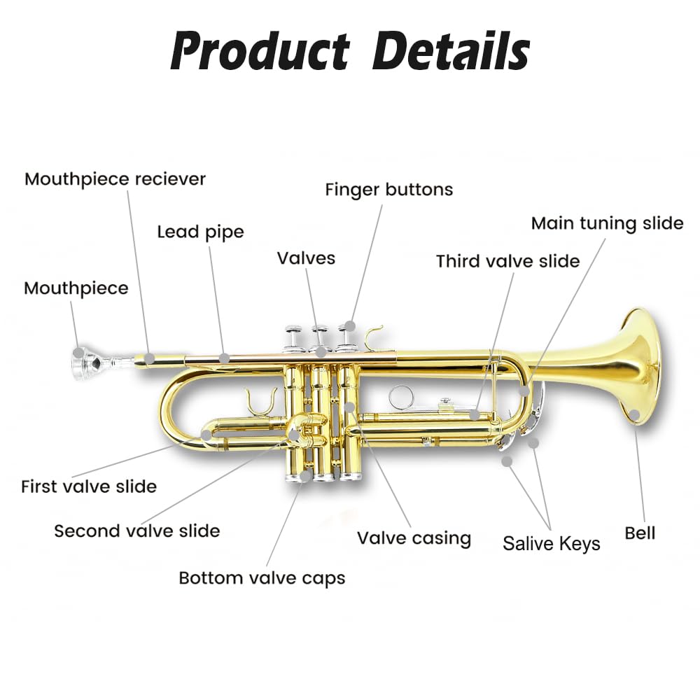 Standard Trumpet Set with Carrying Case 7C Mouthpiece Brass T595919