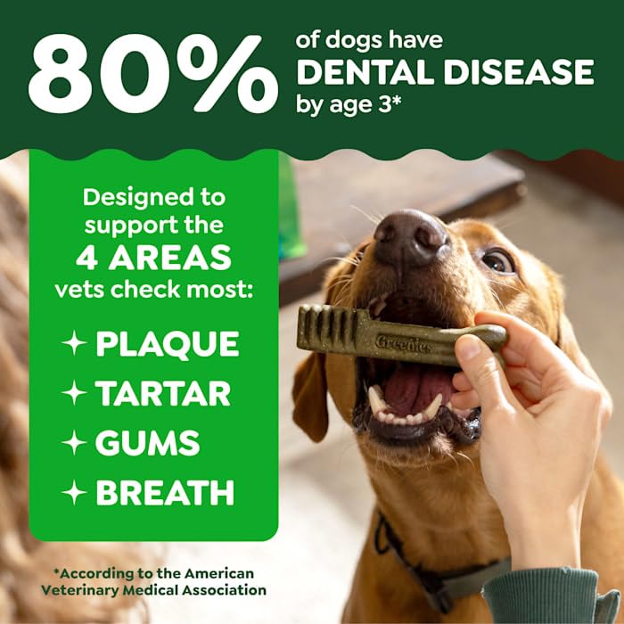 Natural Dog Dental Care Chews 24 oz P64588