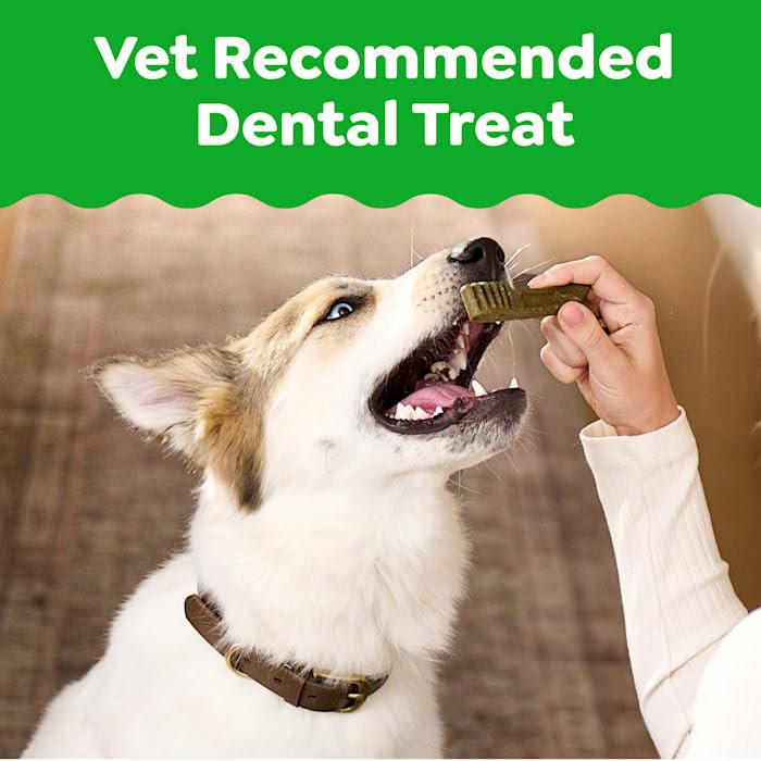 Natural Dog Dental Care Chews 24 oz P64588