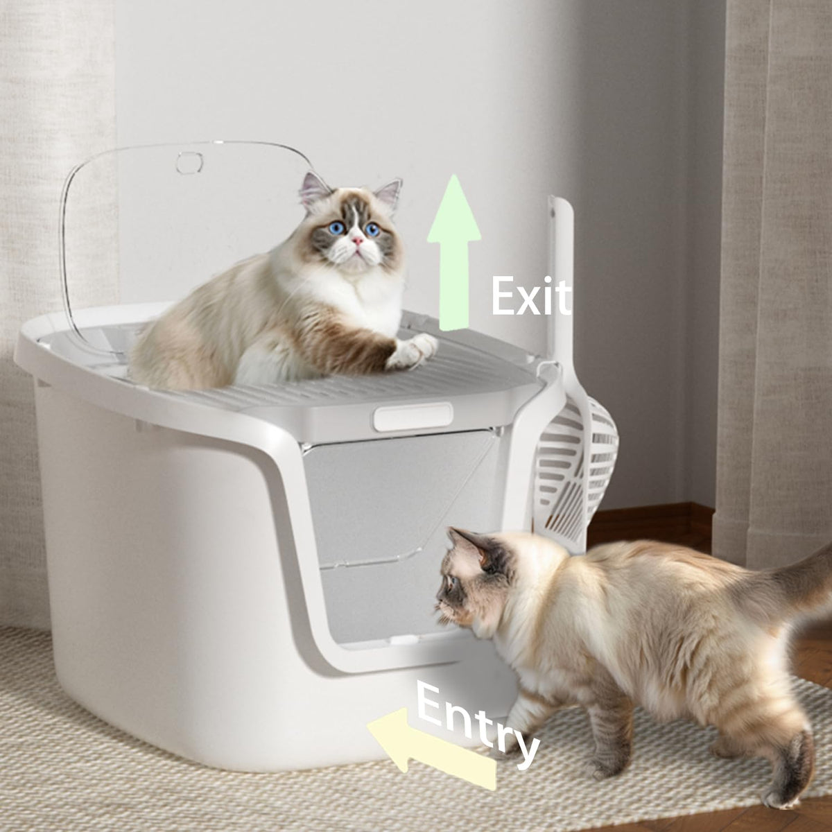 Molded Cat Litter Box with Scoop Y479
