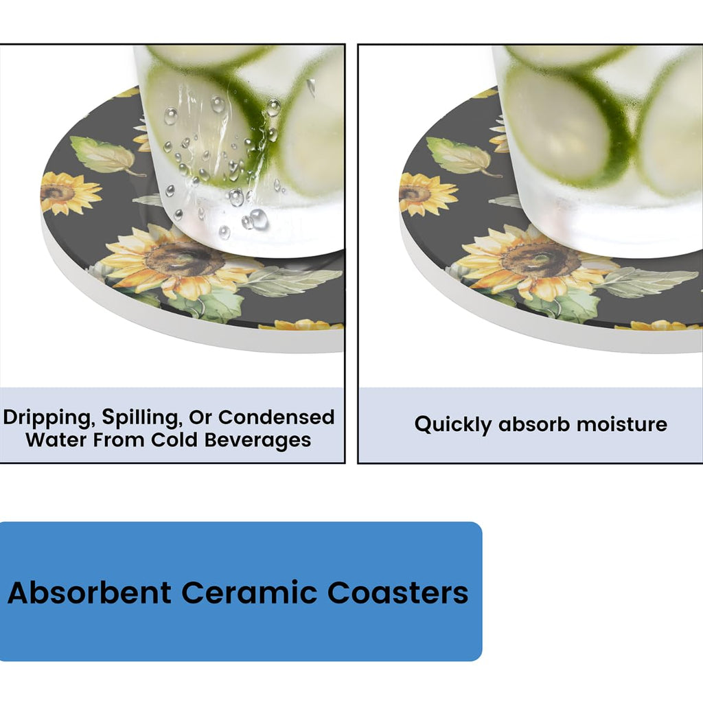 Round Absorbent Ceramic Coasters Set of 4 O197076