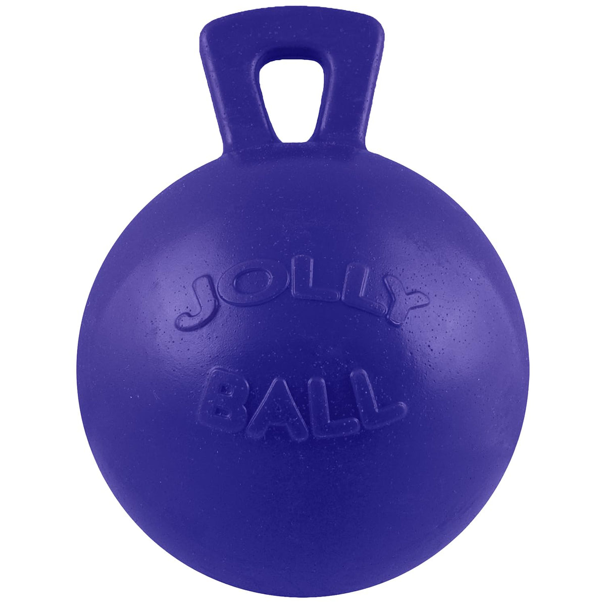 Dog 10-Inch Tug-n-Toss, Blue D28207