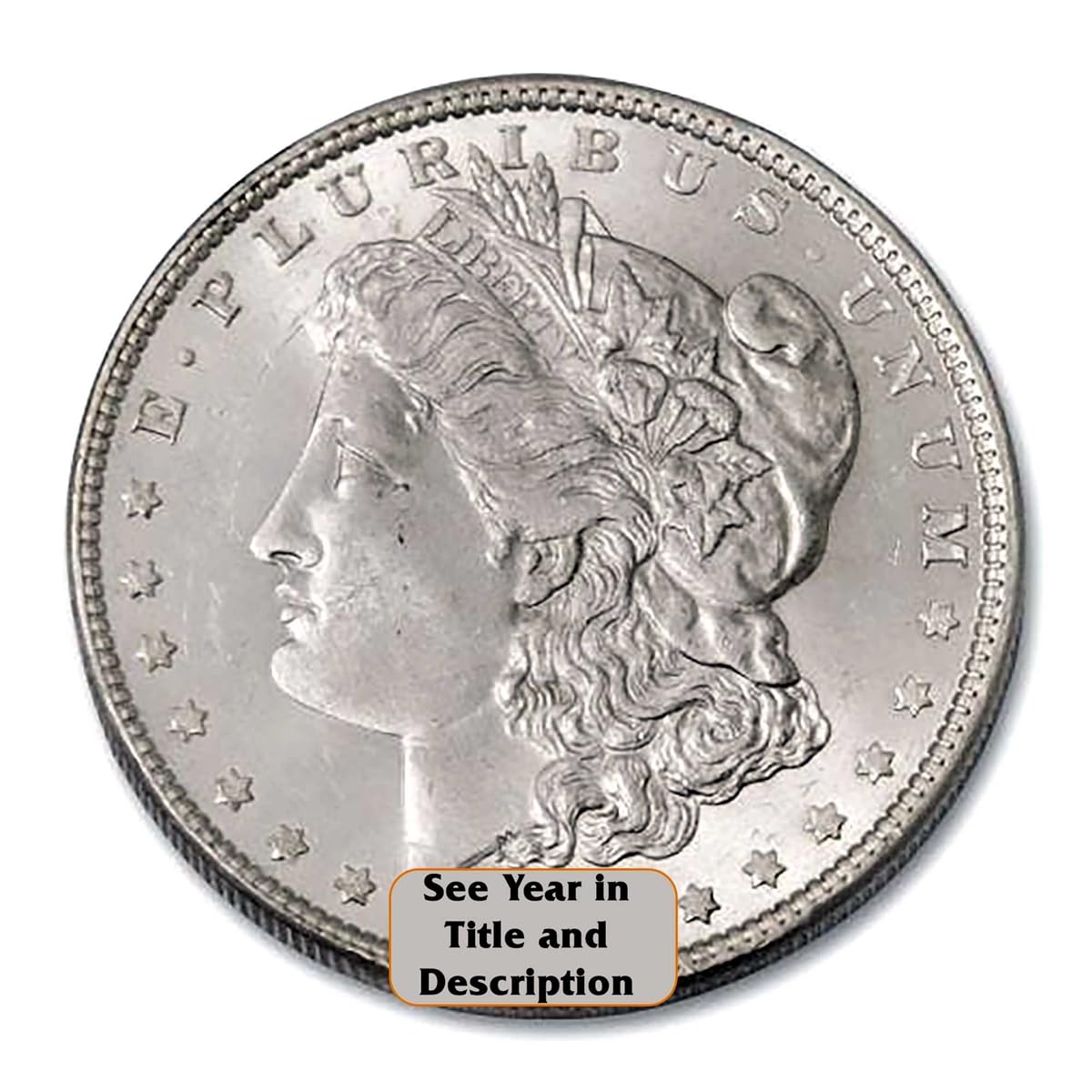 Morgan Silver Dollar P419