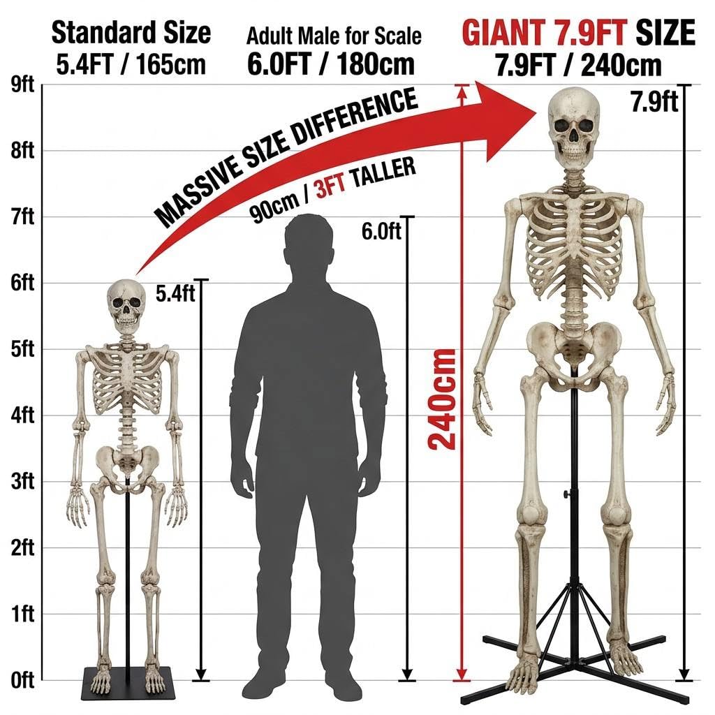 7.9FT Life Size Posable Skeleton E5459