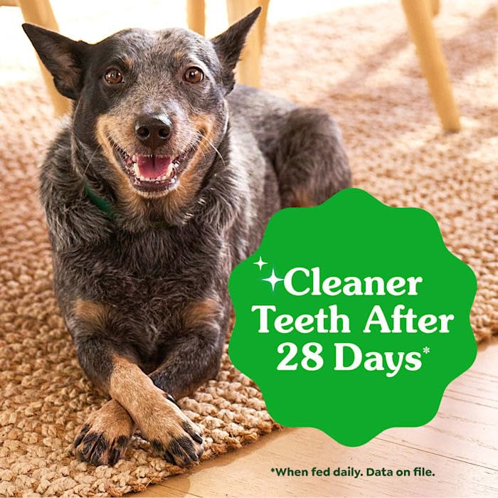 Natural Dog Dental Care Chews 24 oz P64588