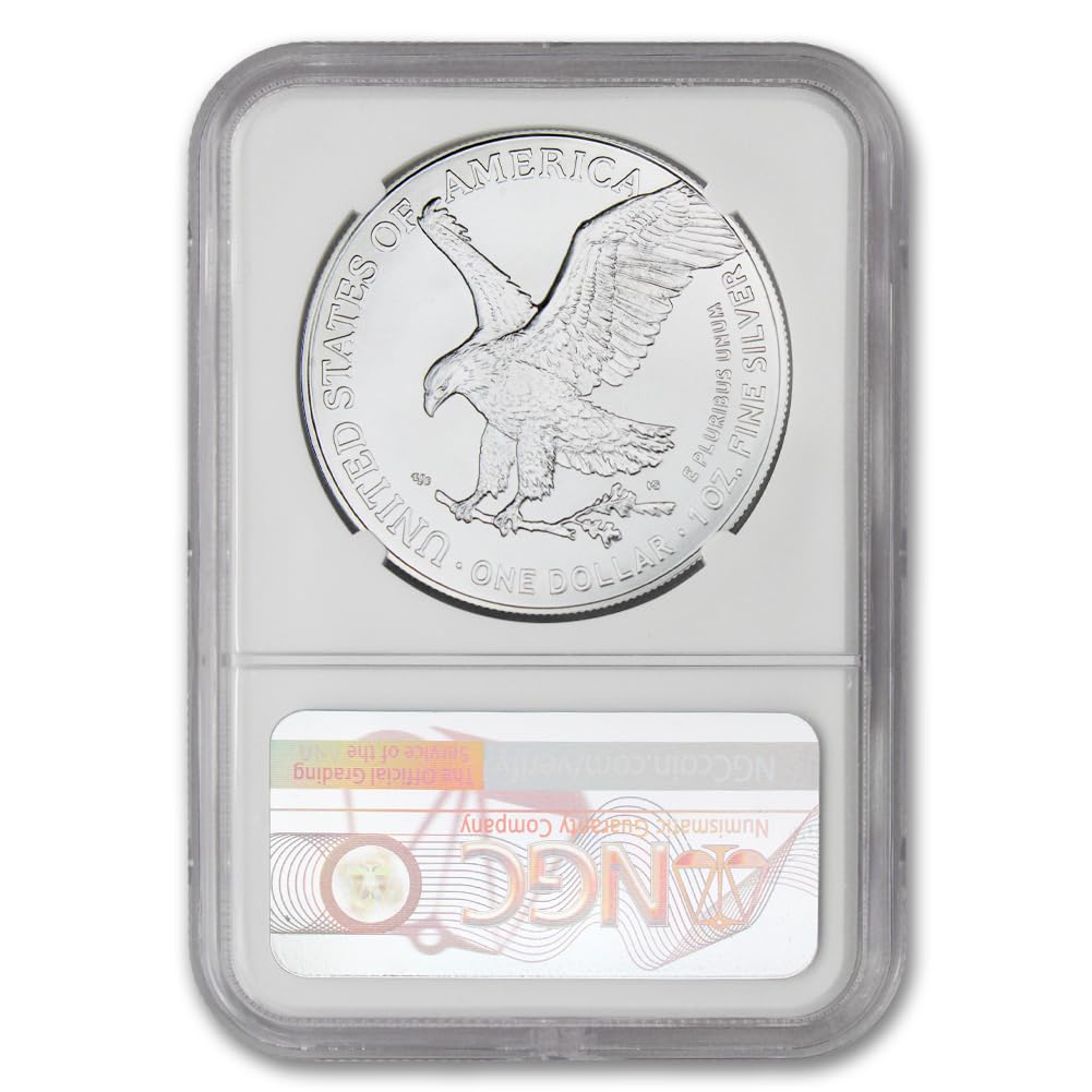1 oz American Silver Eagle Coin D862776