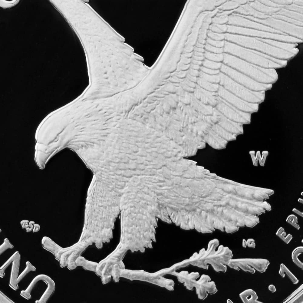 1 oz American Silver Eagle Coin W8916