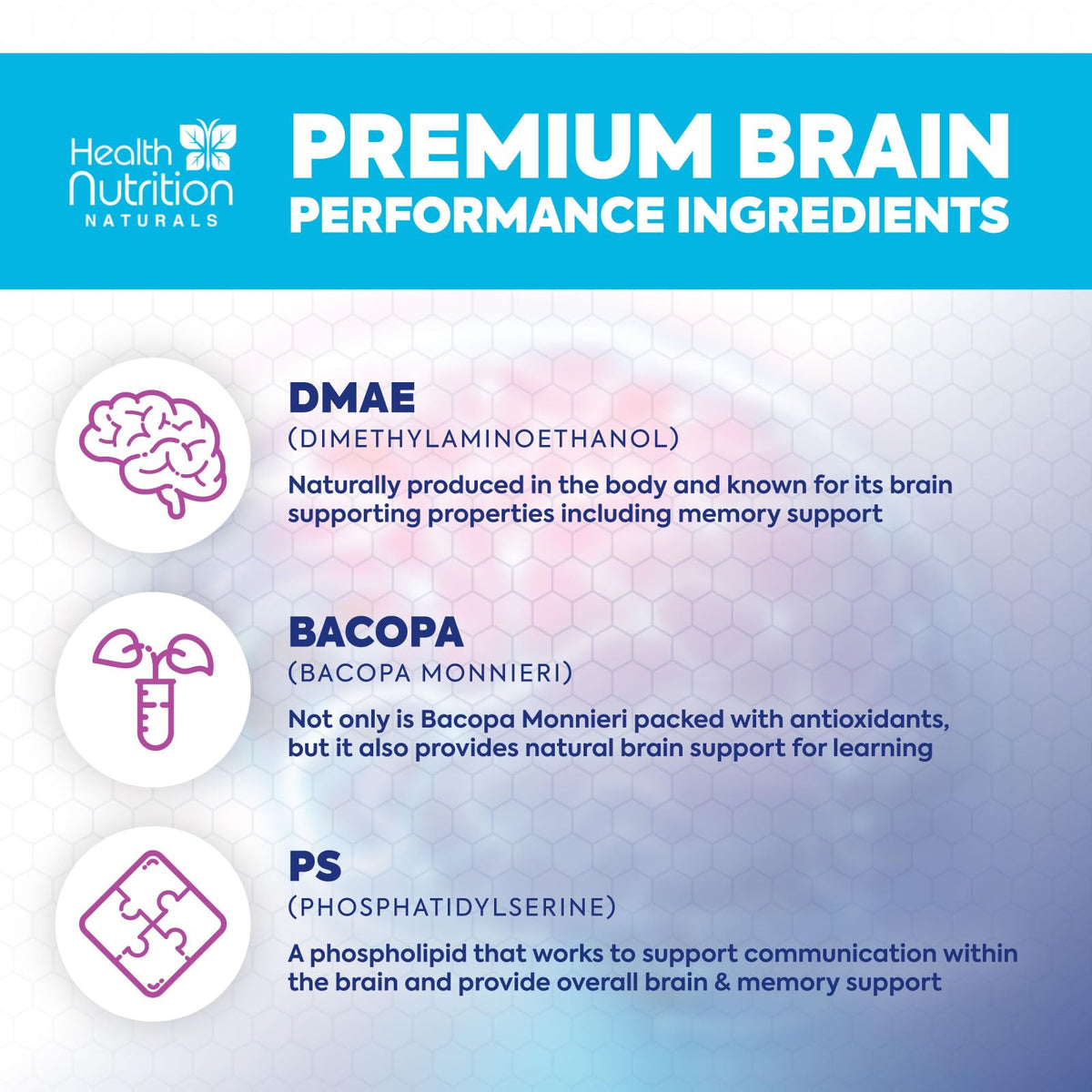 Brain Memory Supplement 120 Capsules V54470