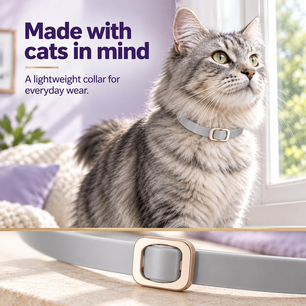 Flea and Tick Collar for Cats 4 Pack Gray K88702
