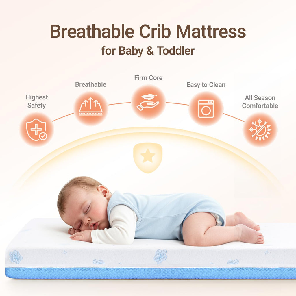 Mini Crib with Mattress and Wheels D17137