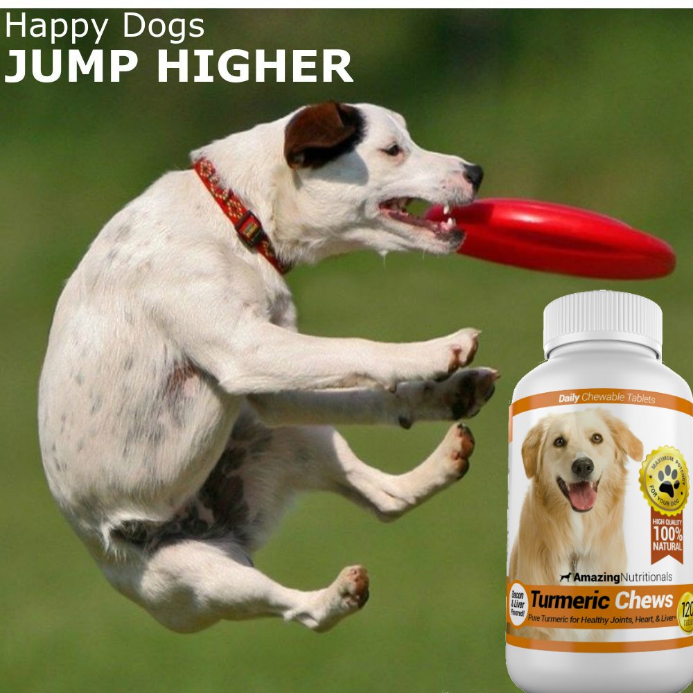 120 Chews Turmeric Curcumin Pet Antioxidant A456