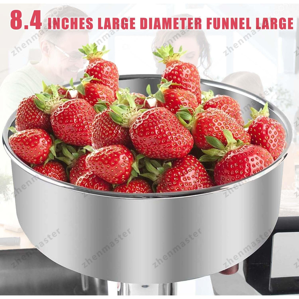 Electric Stainless Steel Tomato Strainer Y59298