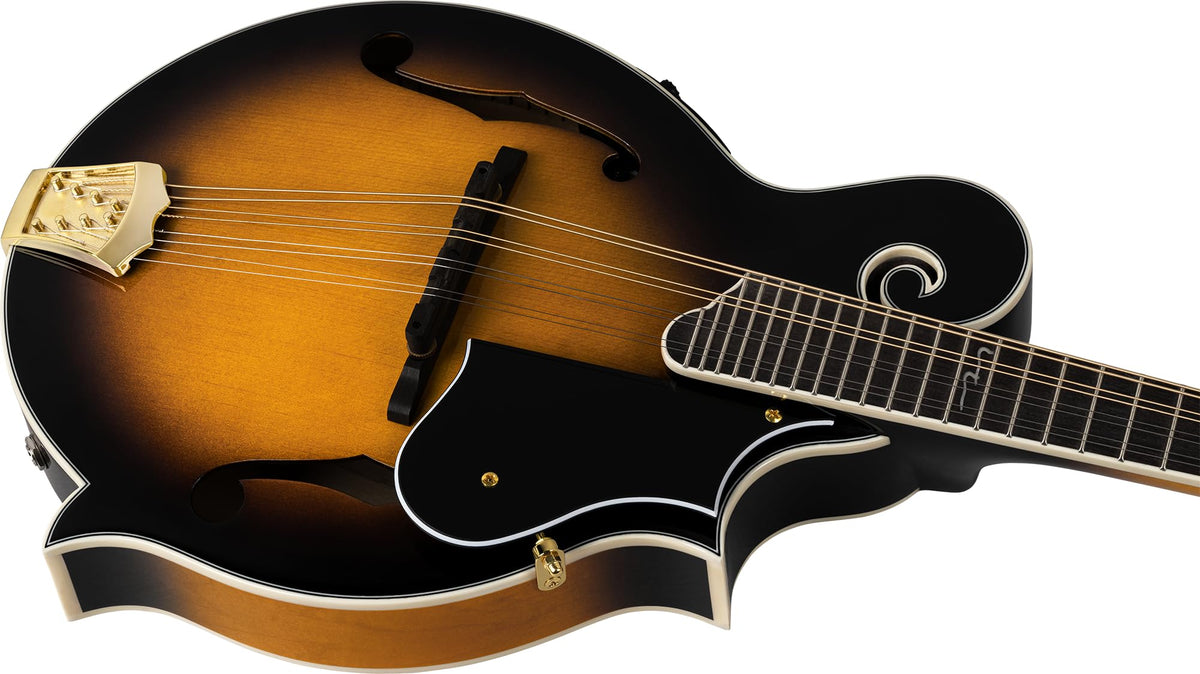 Solid Top F-Style Acoustic-Electric Mandolin Tobacco Sunburst E3922