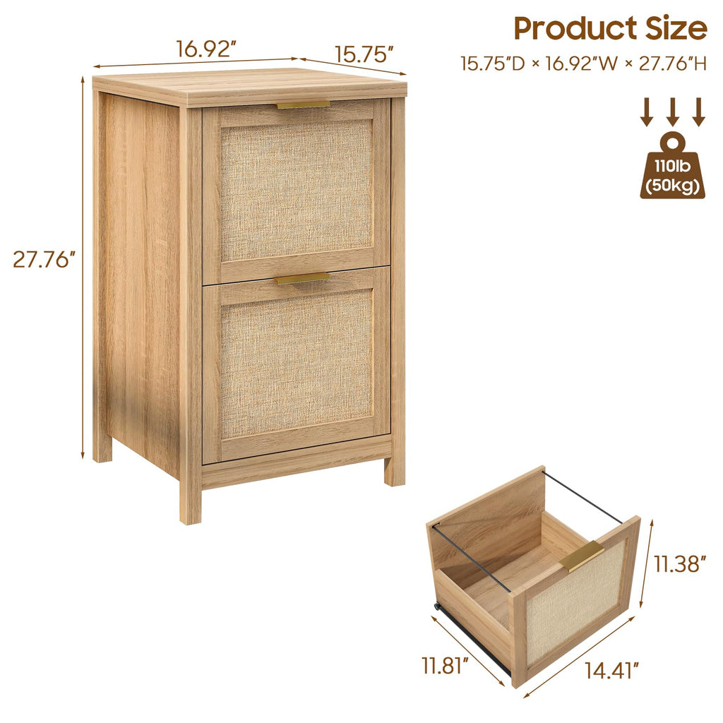 2-Drawer Rattan File Cabinet D12277