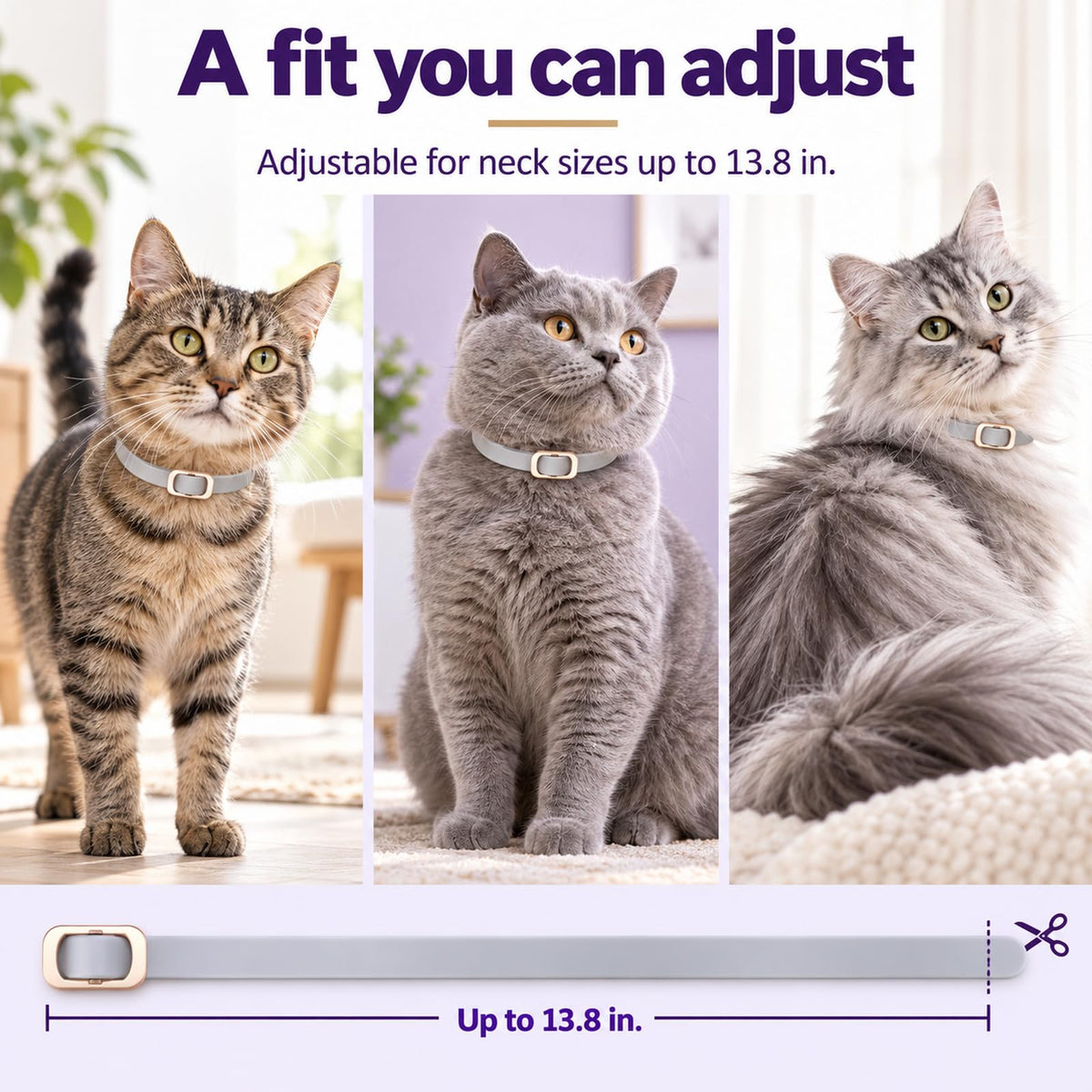 Flea and Tick Collar for Cats 4 Pack Gray K88702
