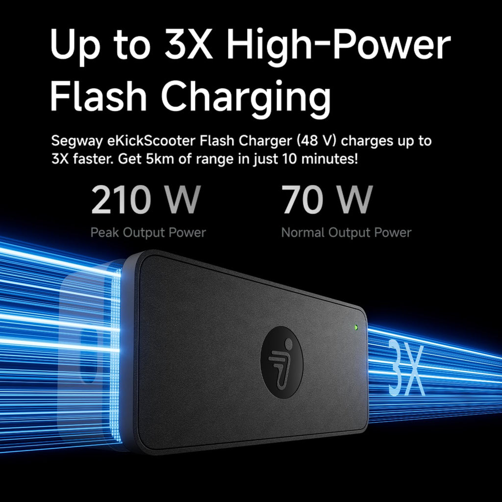 48V 1.3A Electric Scooter Charger P1233