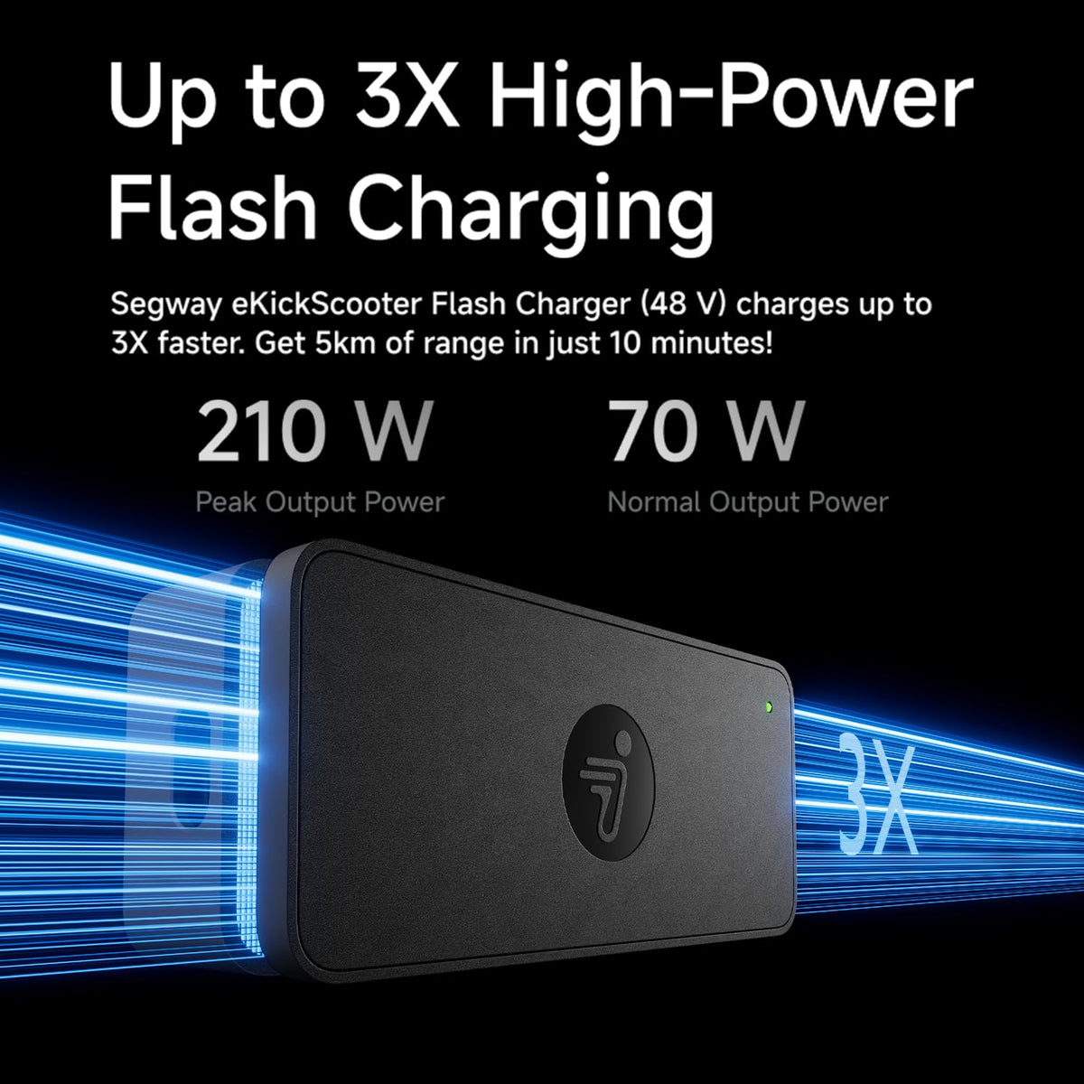 48V 1.3A Electric Scooter Charger P1233
