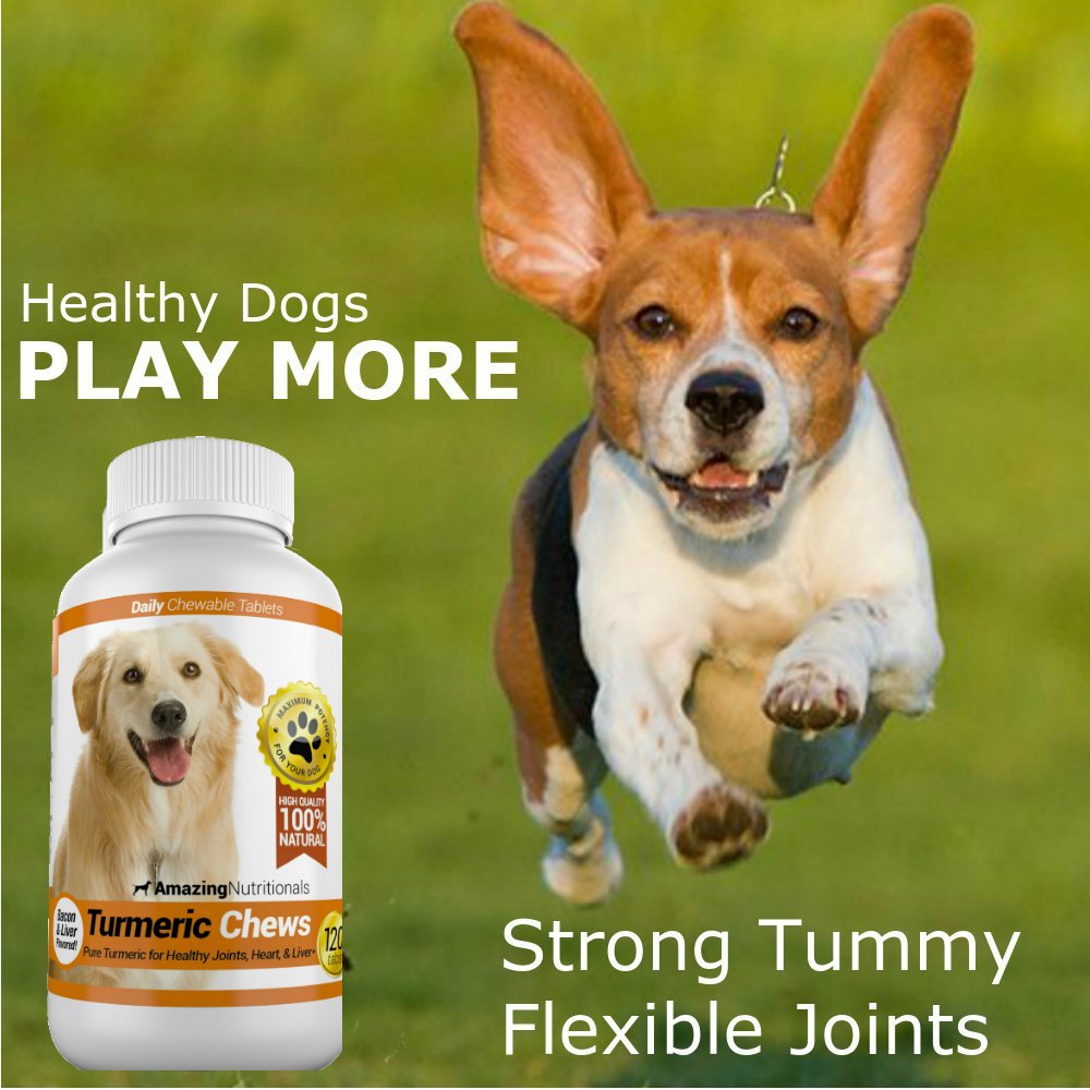 120 Chews Turmeric Curcumin Pet Antioxidant A456