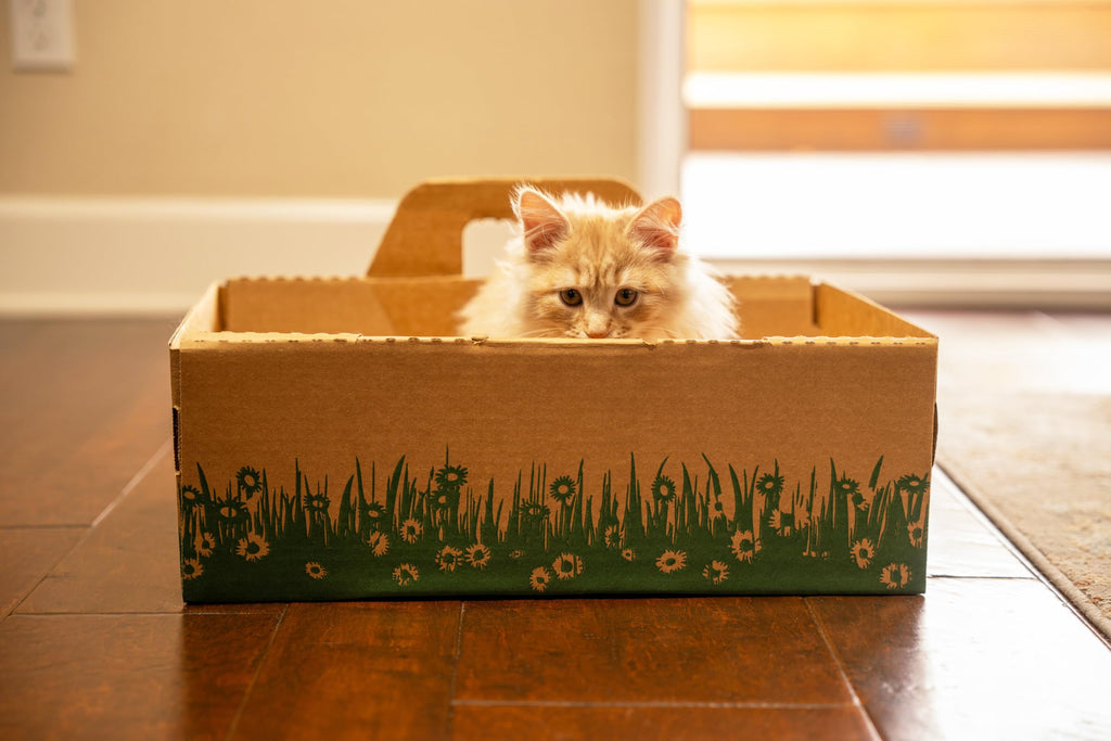 Biodegradable Disposable Litter Boxes 8-Pack O1564