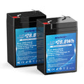 4.5Ah LiFePO4 Battery 2 Pack Q700564