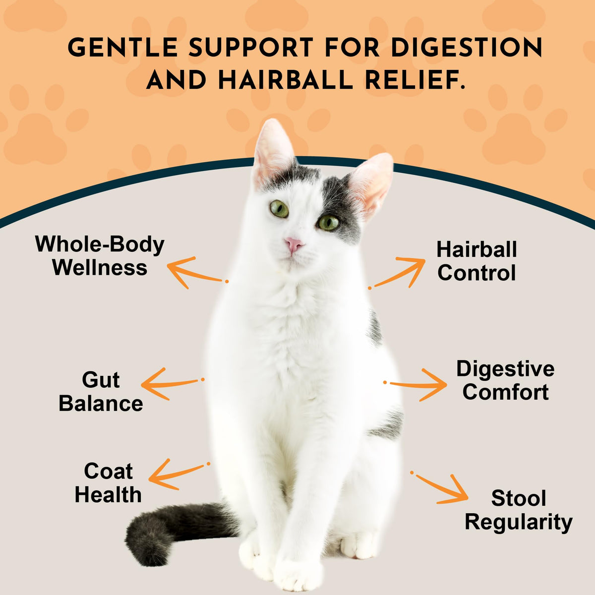 Hairball Relief Formula 2 fl Oz X64687