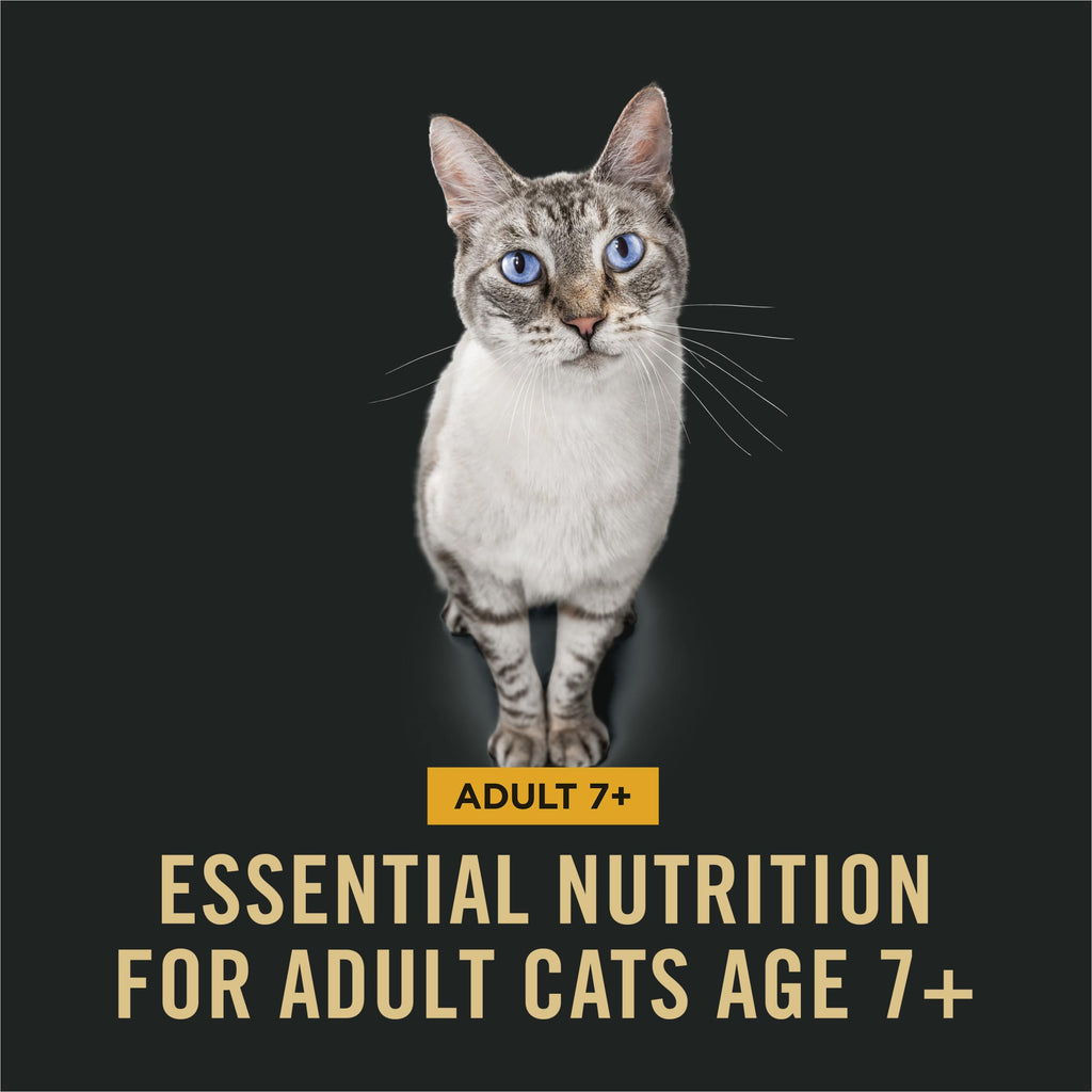Senior Dry Cat Food, Chicken & Rice, 3.5 lb Bag U77440