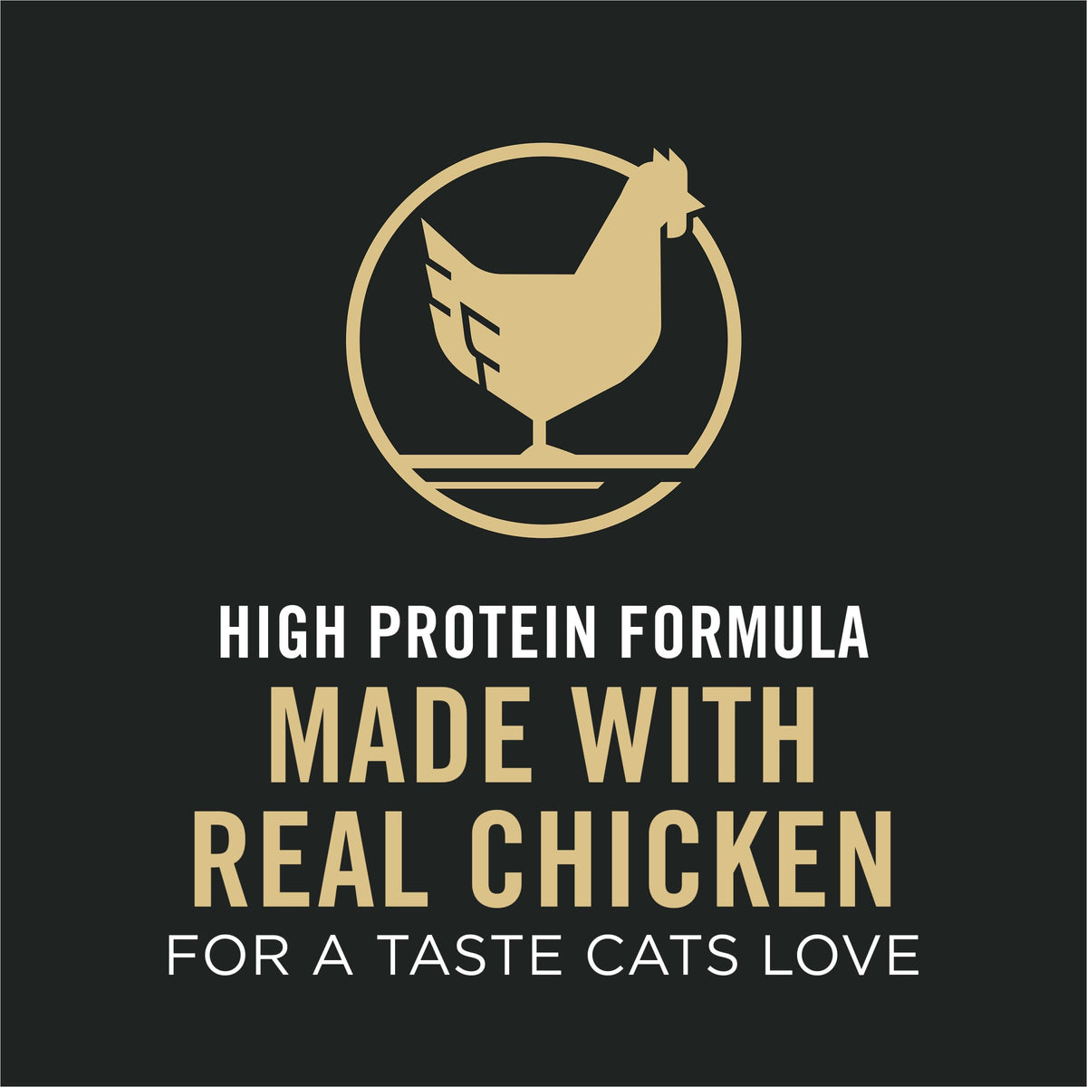 Senior Dry Cat Food, Chicken & Rice, 3.5 lb Bag U77440