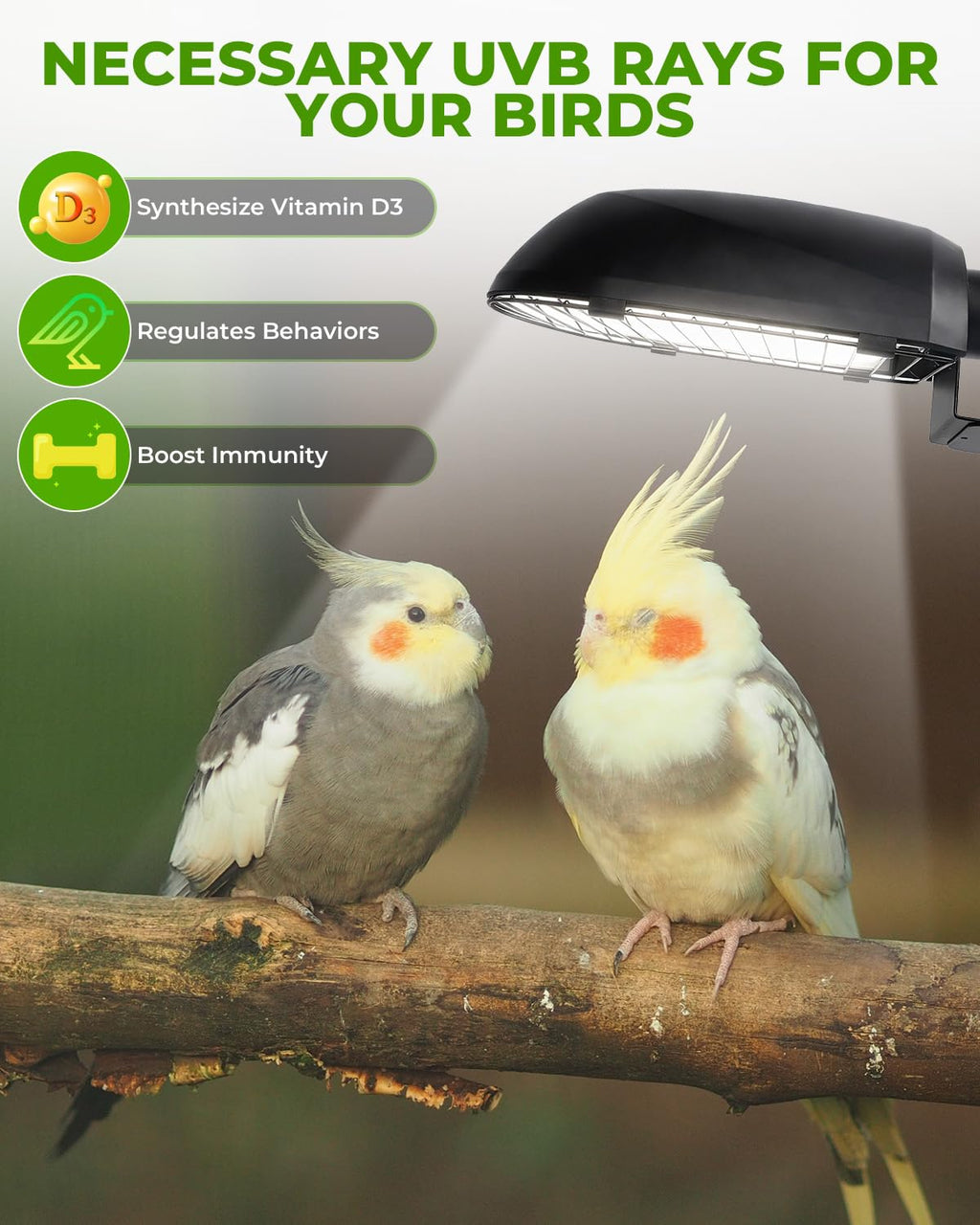 20W UVB Bird Cage Light Combo Kit M1449