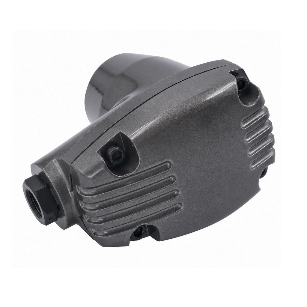 Pneumatic Air Hammer Tool with 5 Tips H66736