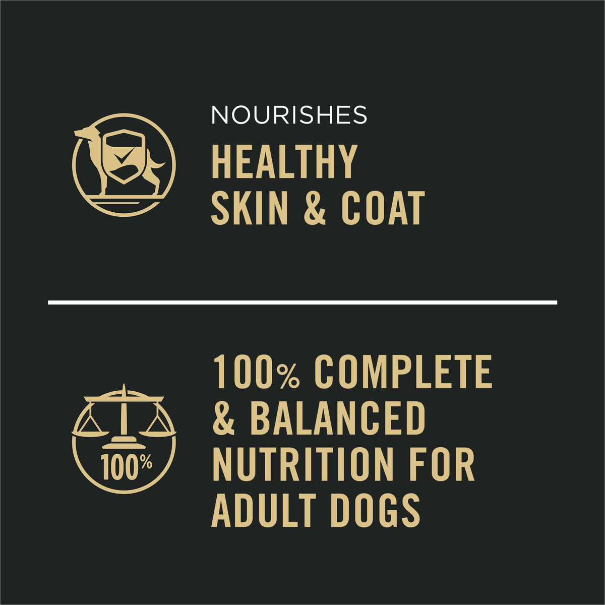 Wet Dog Food Variety Pack 13 oz O528343