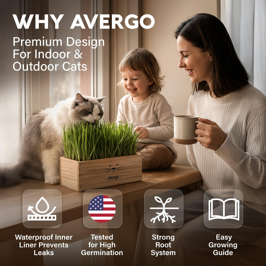 Cat Grass Kit C6456