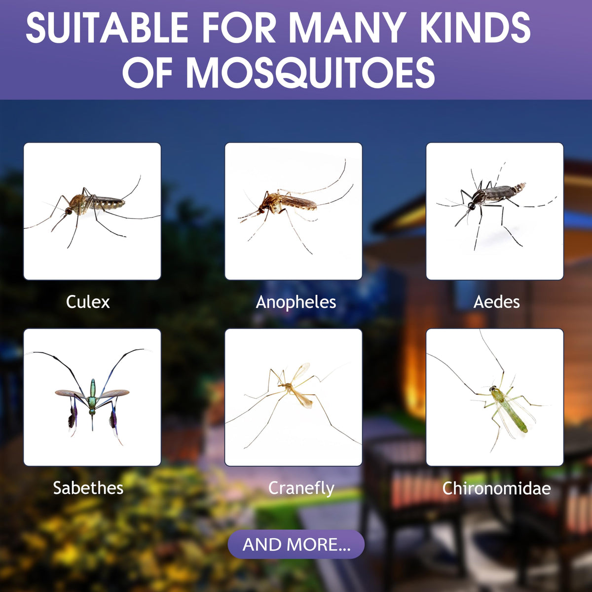 5 Lures Mosquito Attractant Bait Refill Cartridge E963