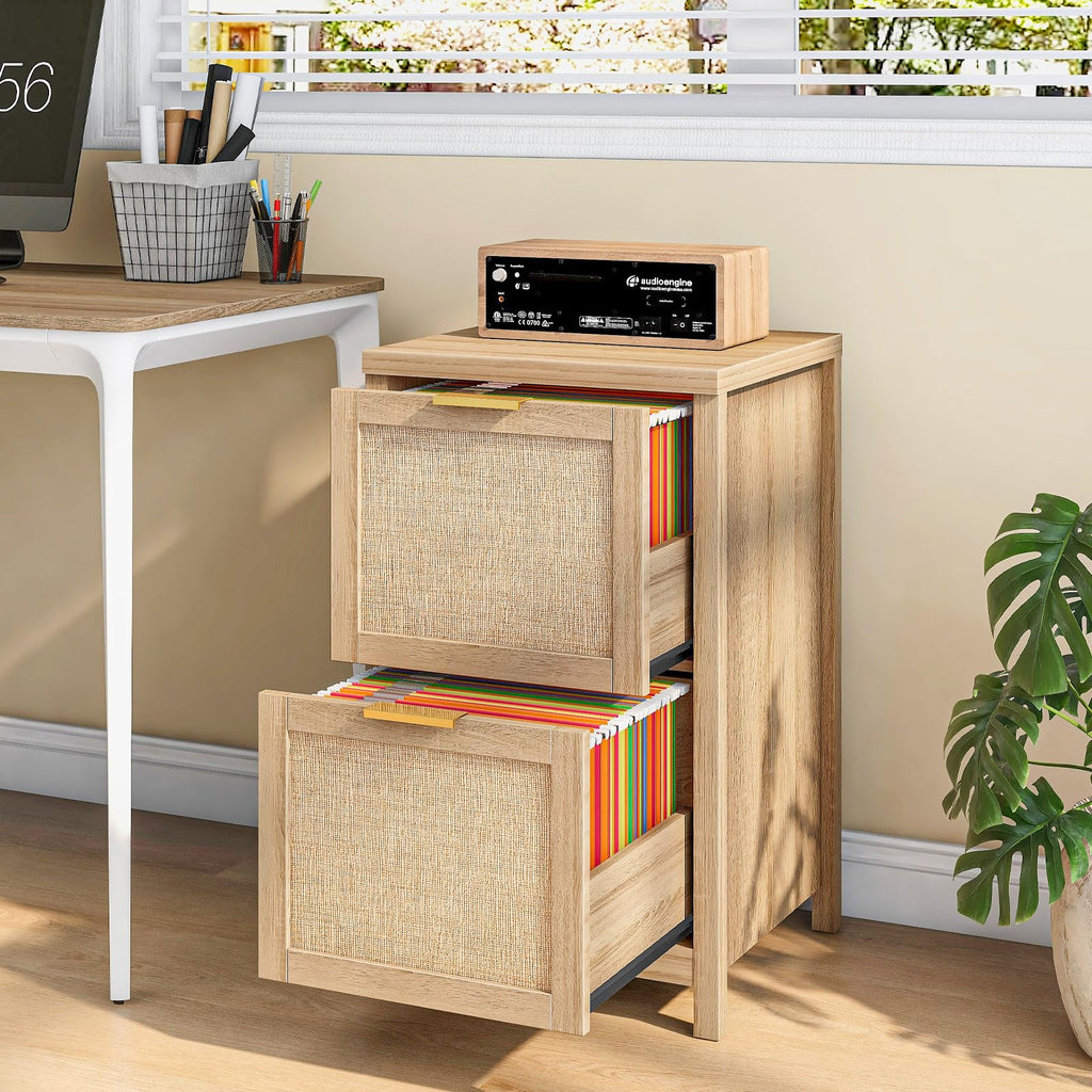 2-Drawer Rattan File Cabinet D12277