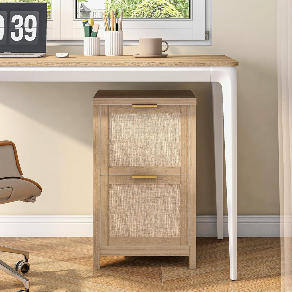2-Drawer Rattan File Cabinet D12277