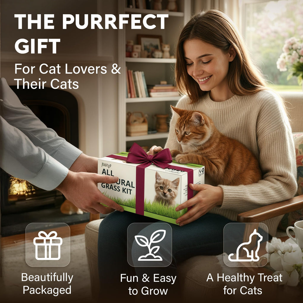 Cat Grass Kit C6456
