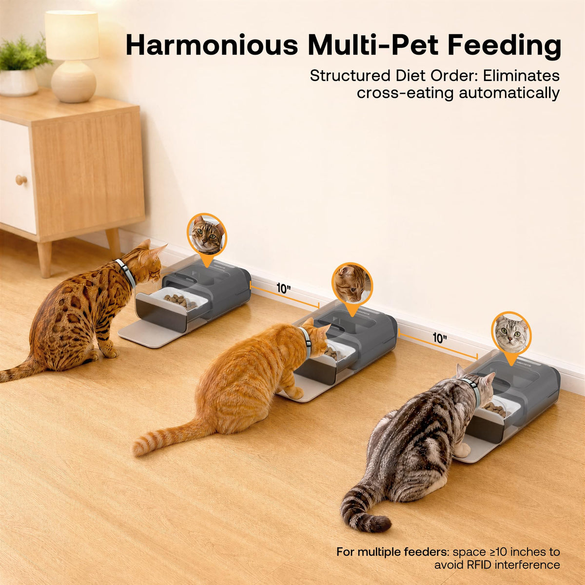 Automatic Cat Feeder with RFID Collar Sensor, Black W6450