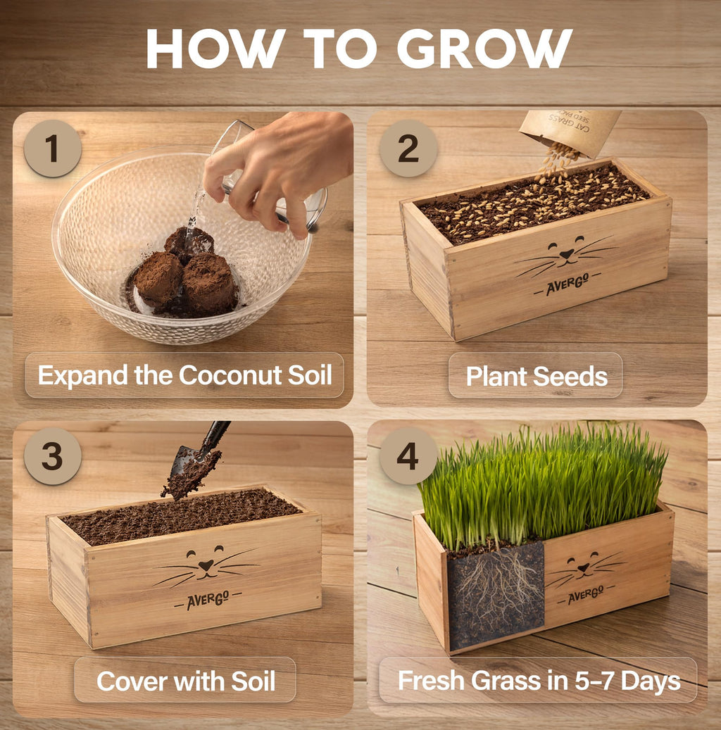 Cat Grass Kit C6456