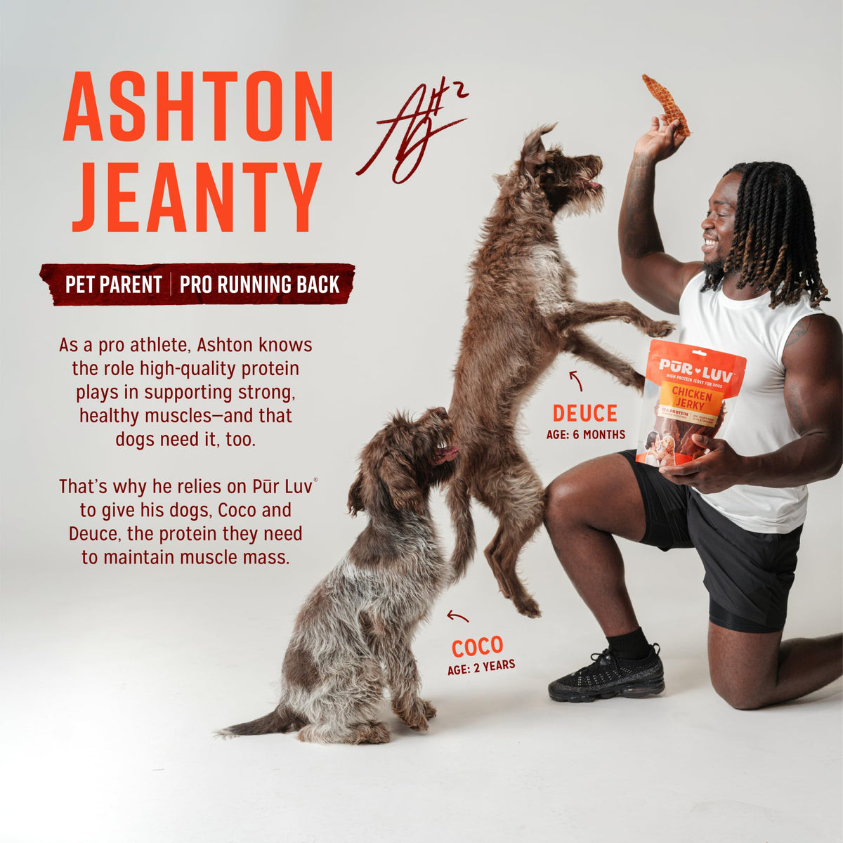 Chicken Jerky Dog Treats, 16 Ounces X418
