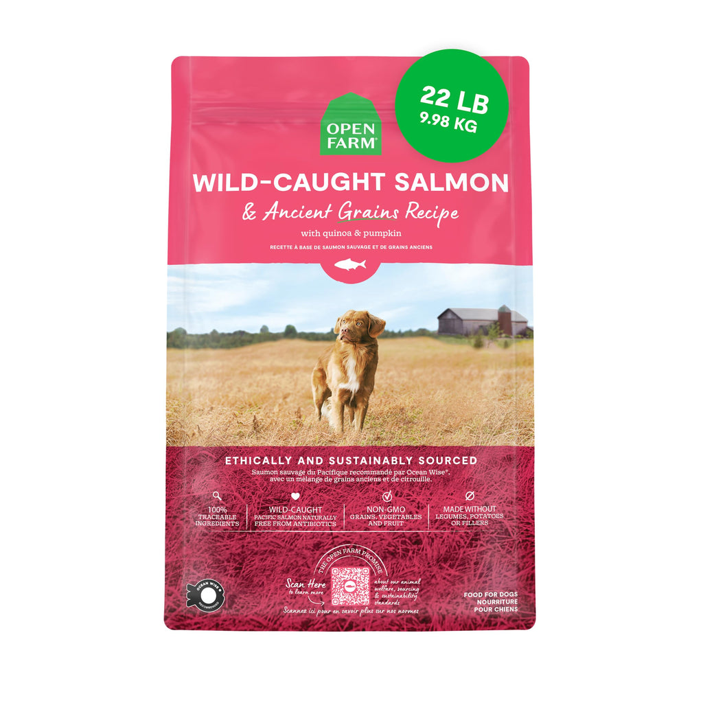 Dry Dog Food 22lb Bag G627425