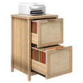 2-Drawer Rattan File Cabinet D12277