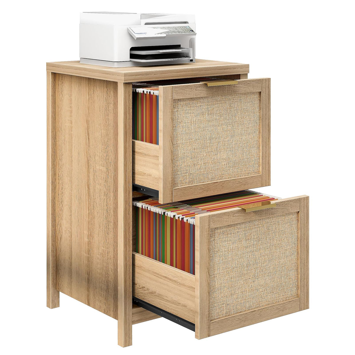 2-Drawer Rattan File Cabinet D12277