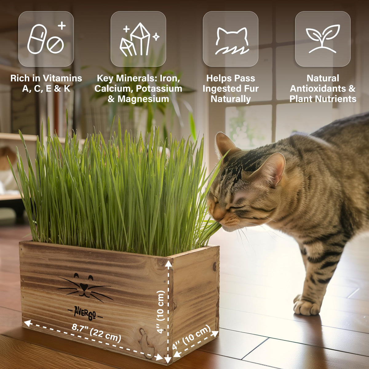 Cat Grass Kit C6456