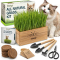 Cat Grass Kit C6456