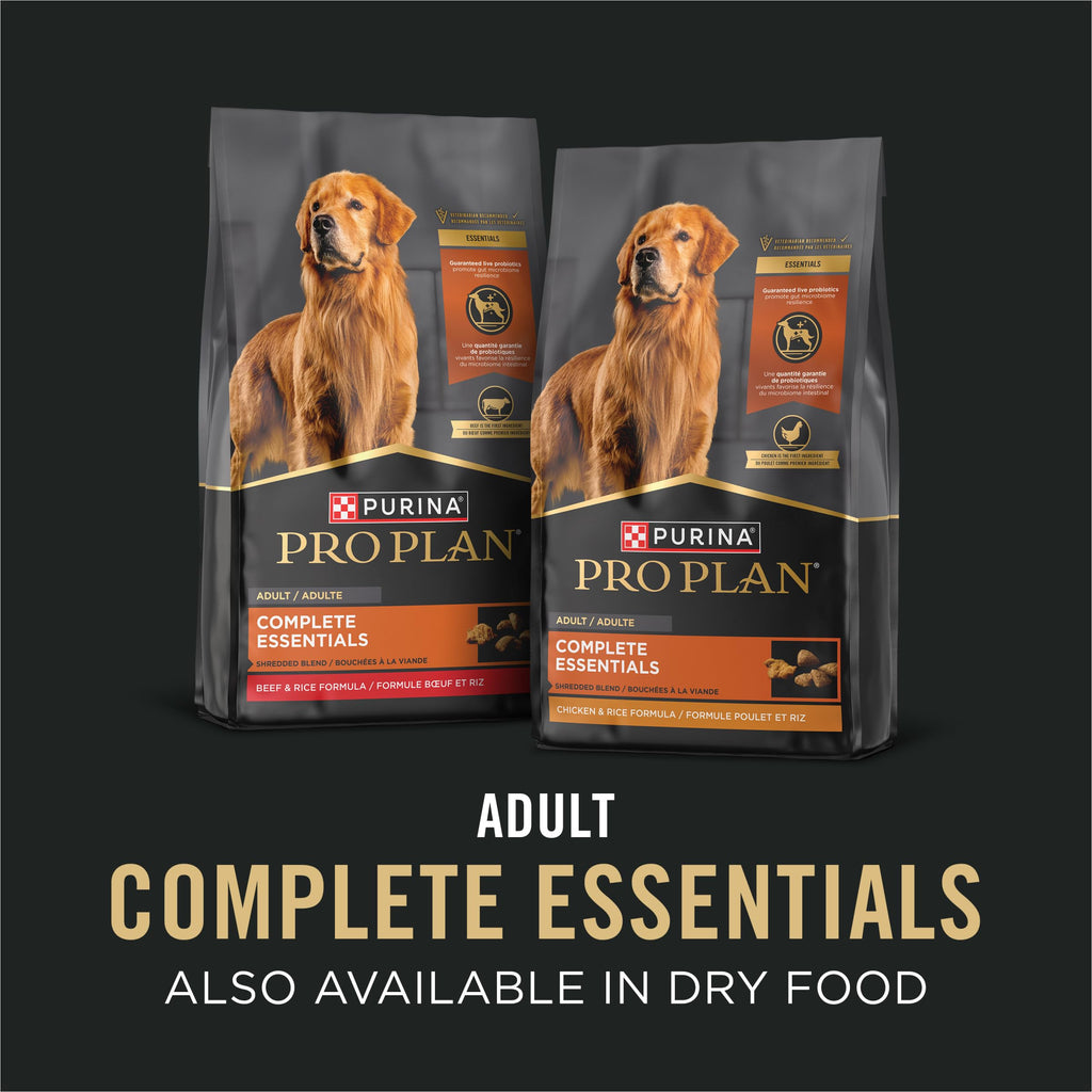 Wet Dog Food Variety Pack 13 oz O528343