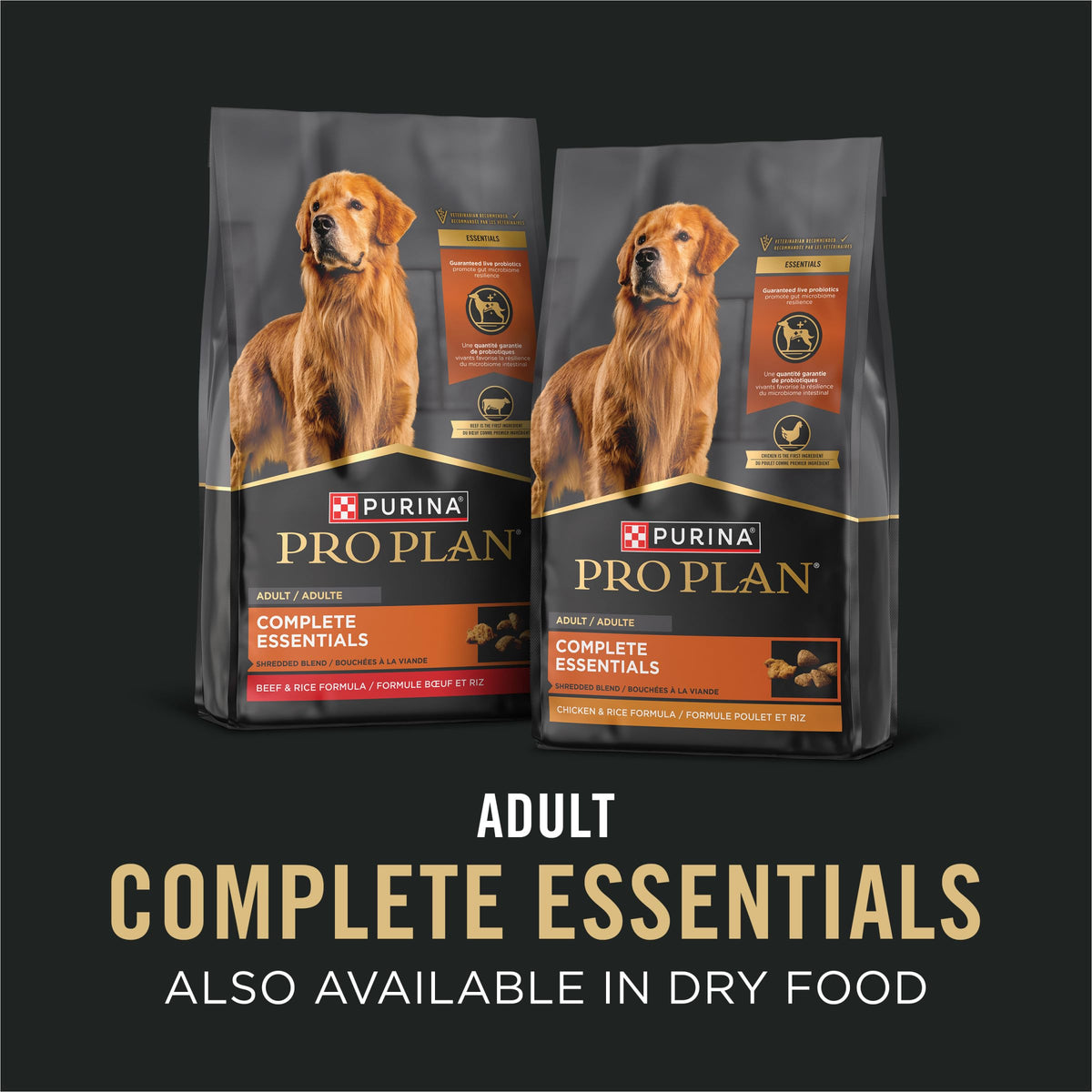 Wet Dog Food Variety Pack 13 oz O528343