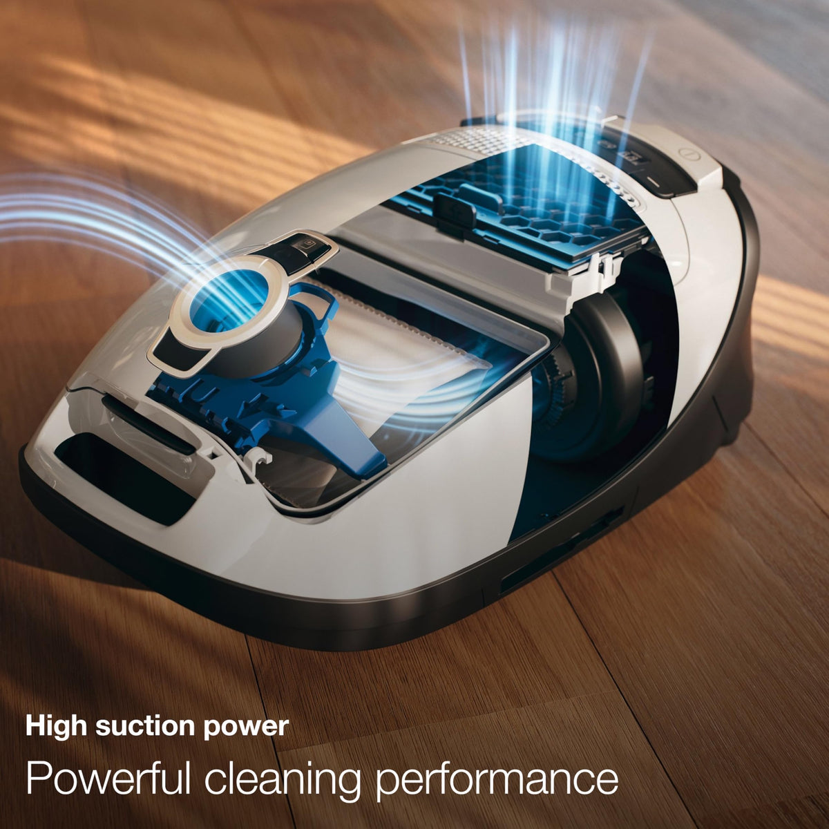 Classic C1 Pure Suction Vacuum J830