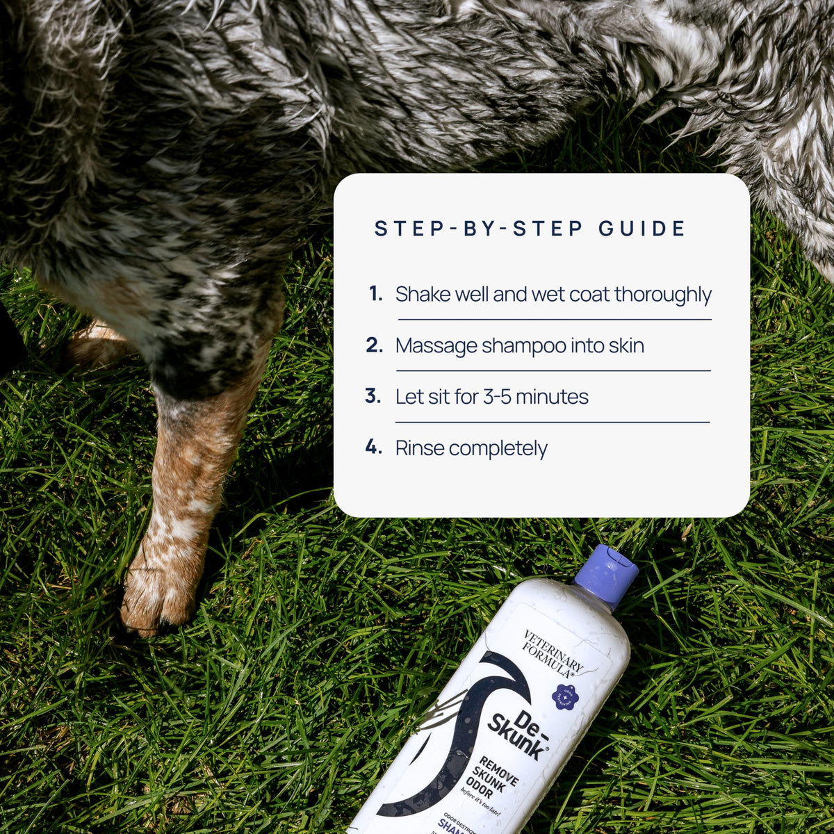 Dog Shampoo 32oz L854713