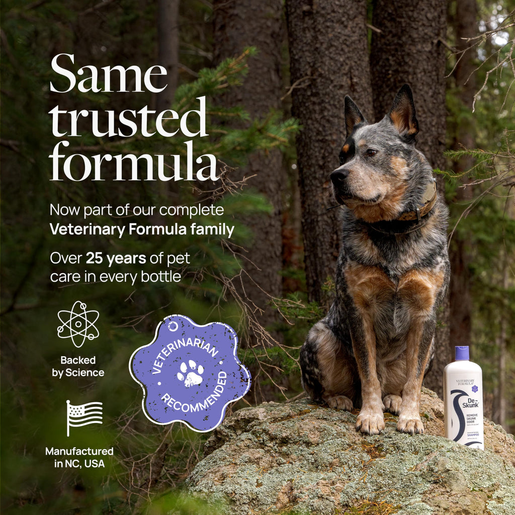 Dog Shampoo 32oz L854713