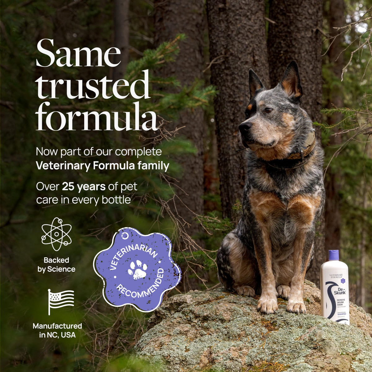 Dog Shampoo 32oz L854713