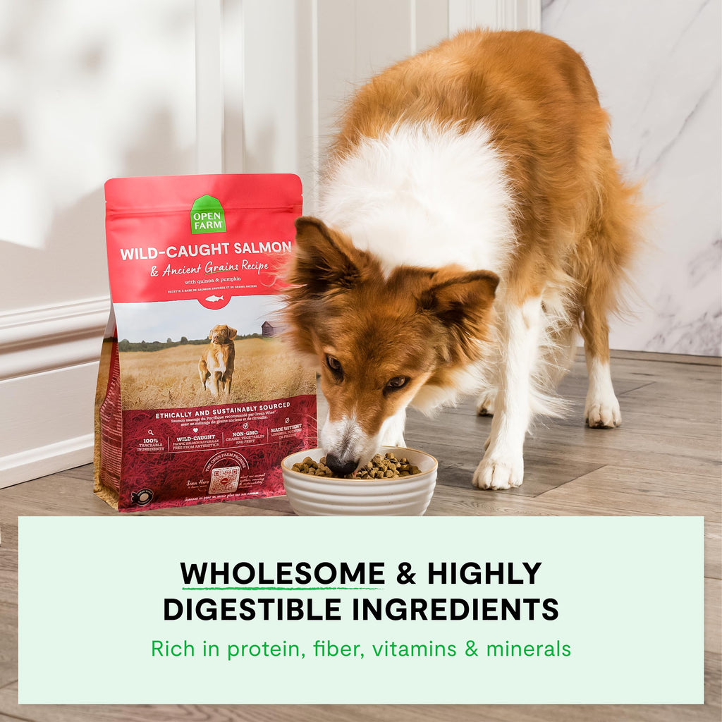 Dry Dog Food 22lb Bag G627425